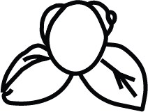 Fermenteq logo